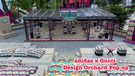 gucci adidas orchard